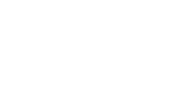 Softnet AI